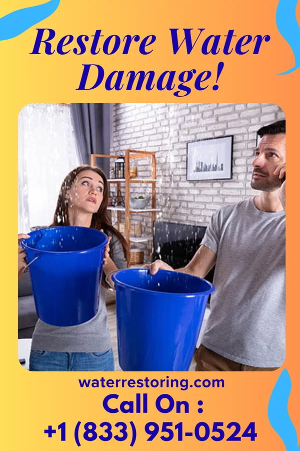 water restoration Ultimate Flood Services Cecil