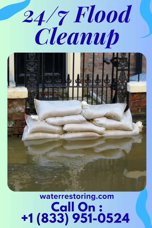 24/7 Flood Cleanup in Cecil, WI