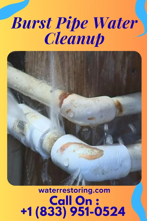 Burst Pipe Water Cleanup in Cecil, WI