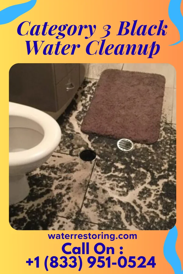 Category 3 Black Water Cleanup in Cecil, WI