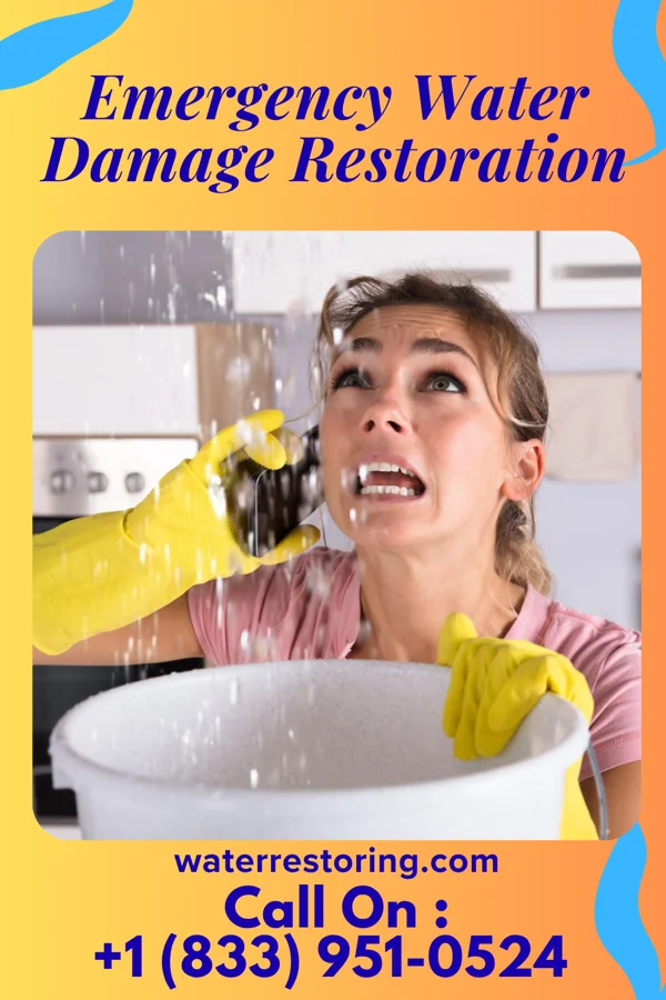 Emergency Water Damage Restoration in Cecil, WI