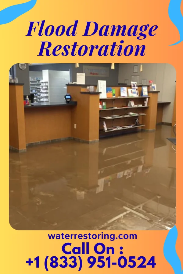 Flood Damage Restoration in Cecil, WI