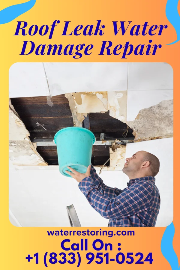 Roof Leak Water Damage Repair in Cecil, WI