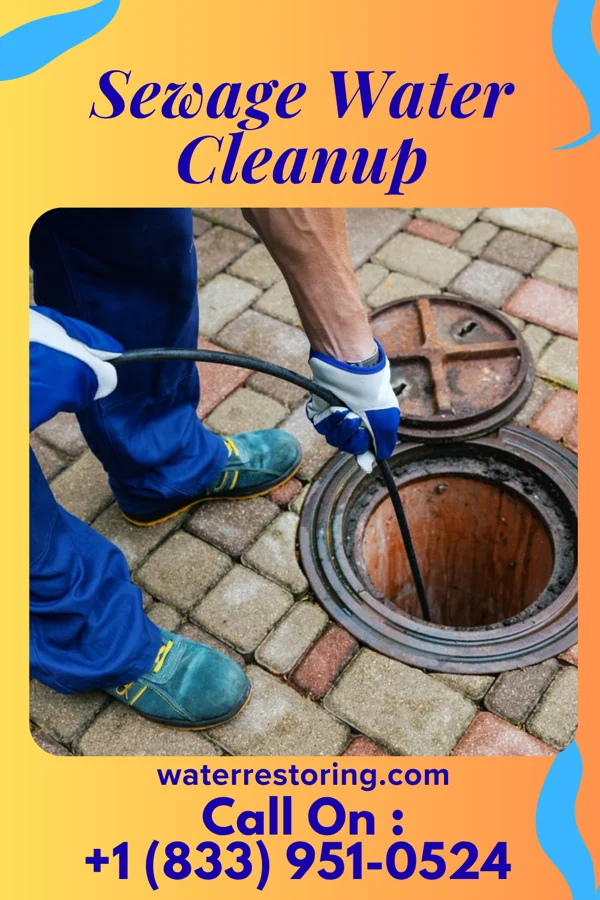 Sewage Water Cleanup in Cecil, WI